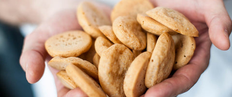 Südtiroler Mini Schüttelbrot mit Bergkräutern (125g)